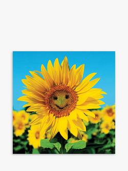 Woodmansterne Sunny Disposition Greeting Card, Multi