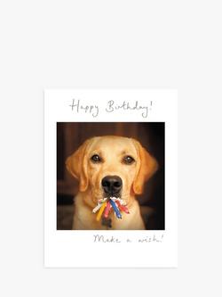 Woodmansterne Labrador Candles Birthday Card, Multi