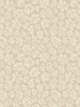 Cole & Son Savanna Shell Wallpaper, 119/4021