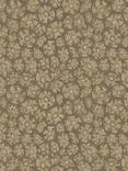 Cole & Son Savanna Shell Wallpaper, 119/4020