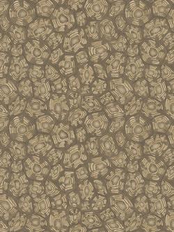 Cole & Son Savanna Shell Wallpaper, 119/4020