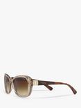 Vogue VO2943SB Women's Butterfly Sunglasses, Transparent Light Brown/Brown Gradient