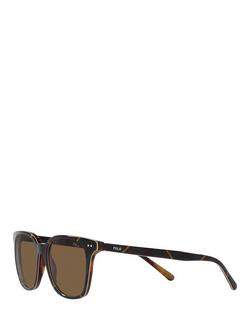 Polo Ralph Lauren PH4187 Men's Sunglasses - view 2, Shiny Dress Gordon/Brown
