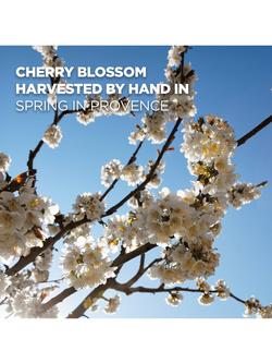 L'OCCITANE Cherry Blossom Shimmering Body Lotion, 250ml - view 2, 