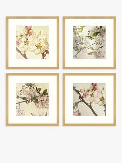 John Lewis Print Punk Studio 'Vintage Blossom' Framed Print & Mount, Set of 4, 32 x 32cm, Multi, Multi