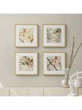 John Lewis Print Punk Studio 'Vintage Blossom' Framed Print & Mount, Set of 4, 32 x 32cm, Multi