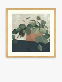 John Lewis Emma Scarvey 'Jade Hoya II' Framed Print & Mount, 73.5 x 73.5cm, Green/Multi, Green/Multi