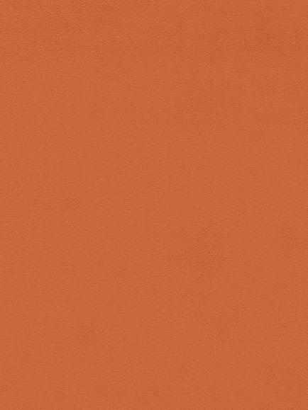Morris & Co. Wardle Velvet Furnishing Fabric, Redhouse