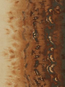 Clarke & Clarke Disperse Wallpaper, W0149/01