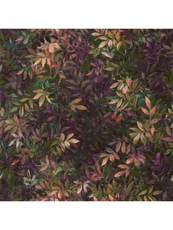 Clarke & Clarke Congo Wallpaper, W0140/01