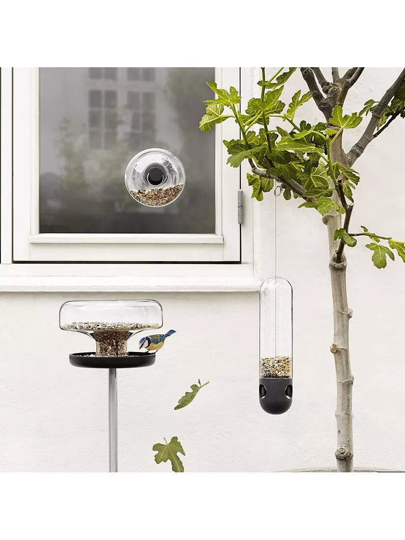 Modern garden bird feeders on a white wall by a window, with a blue tit feeding beside a fig tree