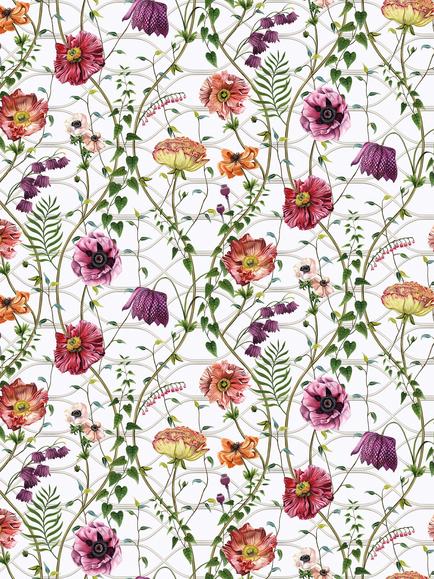 Osborne & Little Lamorran Trail Furnishing Fabric, Fuchsia
