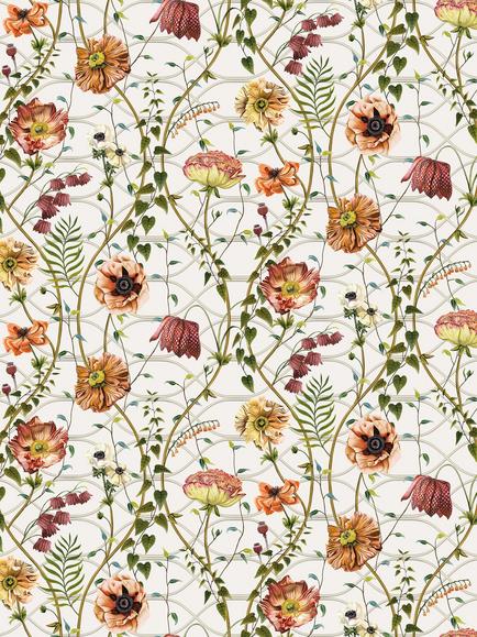 Osborne & Little Lamorran Trail Furnishing Fabric, Amber