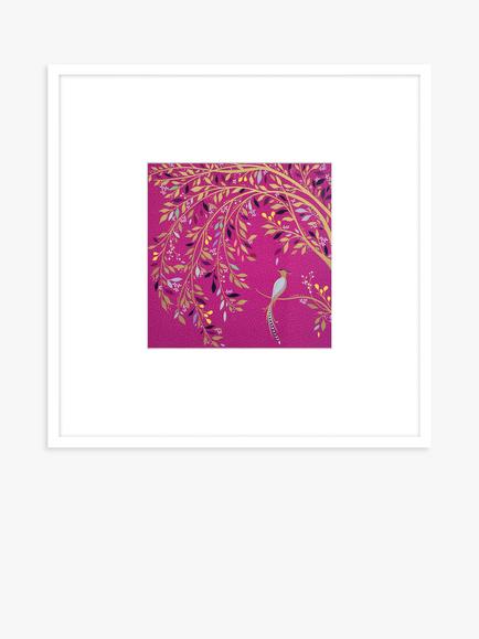 John Lewis Sara Miller 'Songbird' Framed Print & Mount, 52 x 52cm, Pink, Pink
