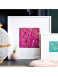 John Lewis Sara Miller 'Songbird' Framed Print & Mount, 52 x 52cm, Pink