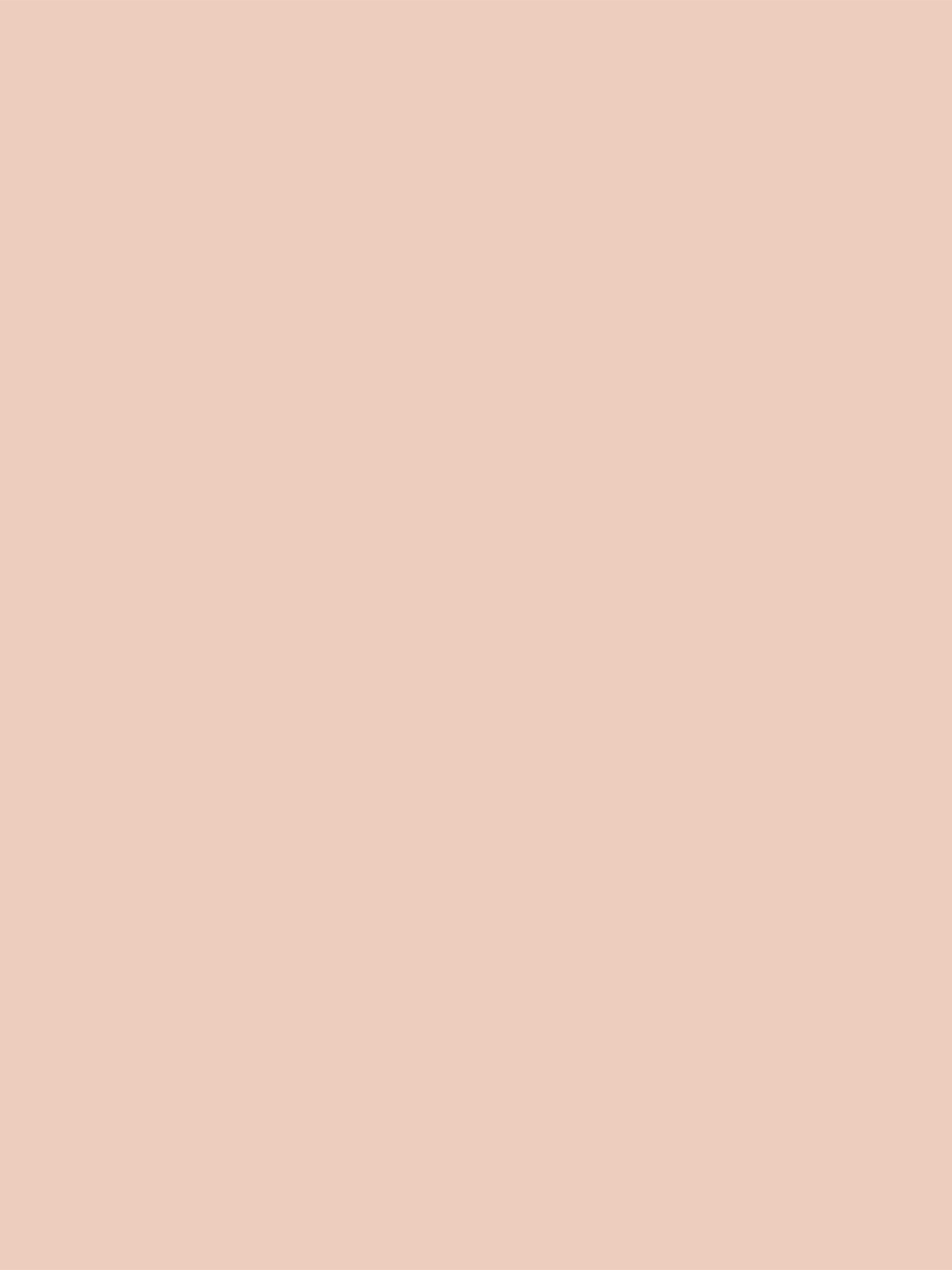 Morris & Co. Chalk Matt Emulsion, Tester Pot, Sweet Briar, 0.06L