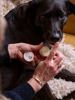 Bramley Digby Dog Wonder Balm, 15g - view 2, White