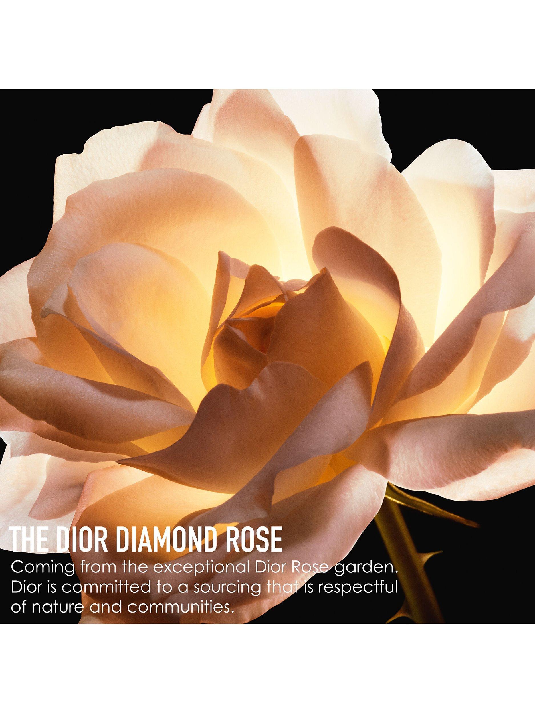 Product image 5 of 8, which shows DIOR Prestige La Crème Texture Essentielle Refill, 50ml