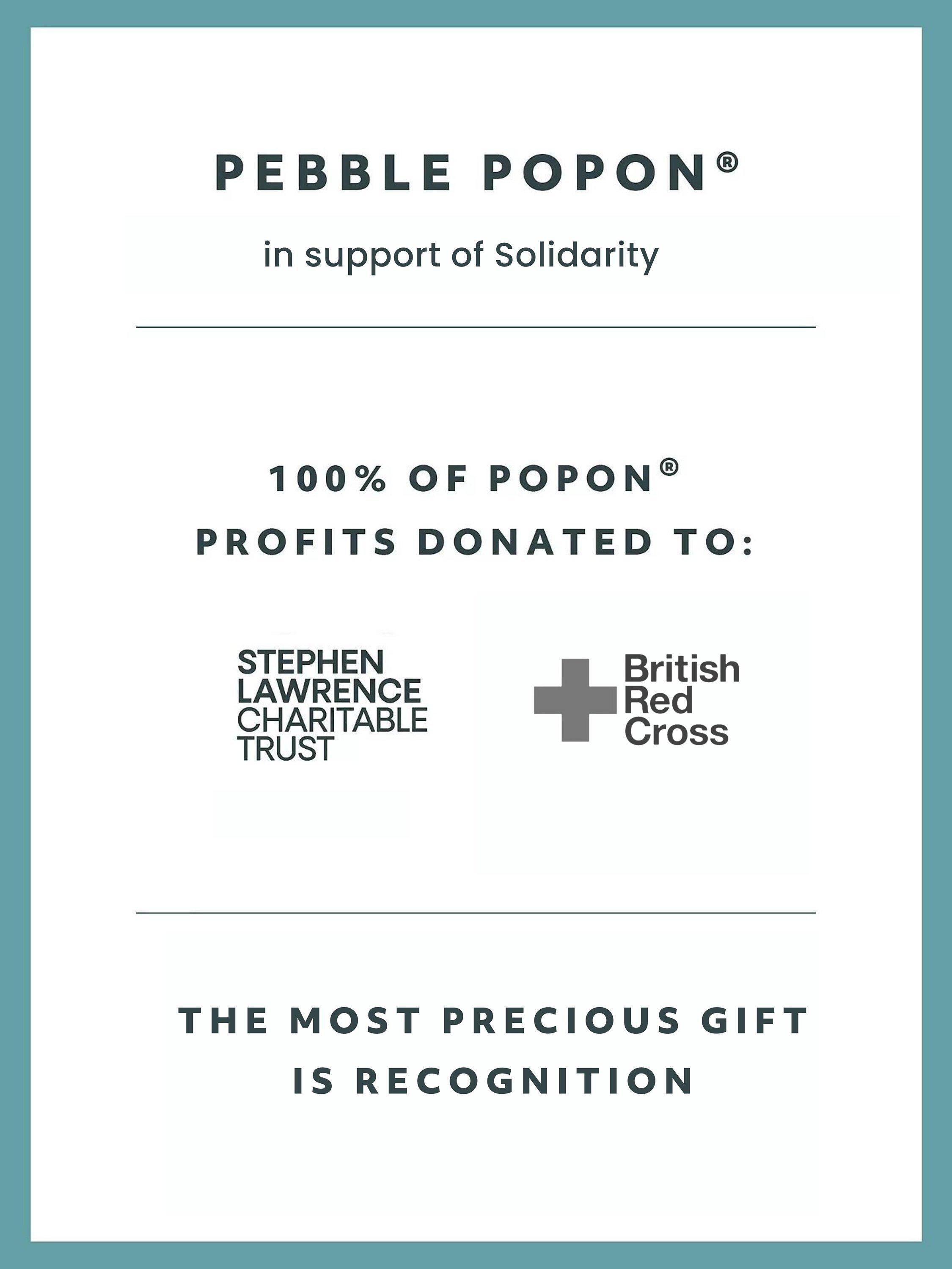 Product image 4 of 5, which shows Recognised Textured Pebble Popon Charm, Silver