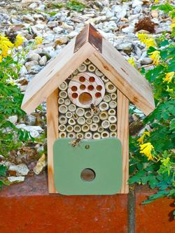 Wildlife World Wood Bee Barn, Natural/Green - view 2, Natural/Green