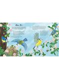 National Trust Birds of a Feather Children's Board Book