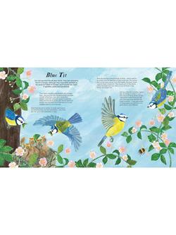 National Trust Birds of a Feather Children's Board Book - view 2, Multi