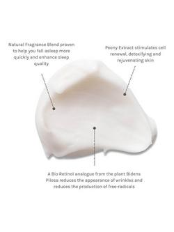 Evolve Organic Beauty Nightly Renew Facial Cream, 60ml - view 2, 