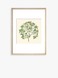 John Lewis V&A CFA Voysey 'The Ornamental Tree' Framed Print, 50 x 40cm, Green/Multi