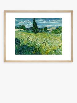 John Lewis Vincent Van Gogh 'Green Wheat-field with Cypress' Framed Print, 40 x 50cm, Green