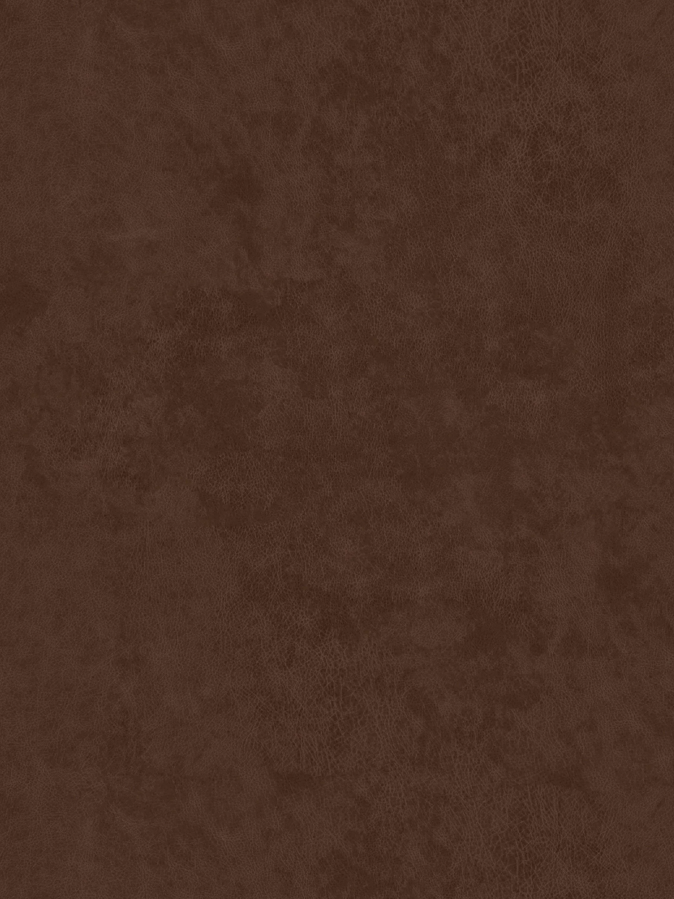 Carousel image, index 5