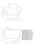 John Lewis + Swoon Latimer Armchair, Brass Tip Leg, Fern Velvet