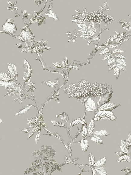 Laura Ashley Elderwood Wallpaper, 113347