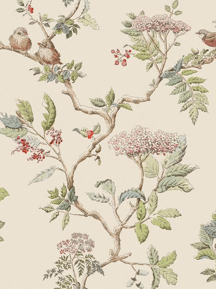 Laura Ashley Elderwood Wallpaper, 113346