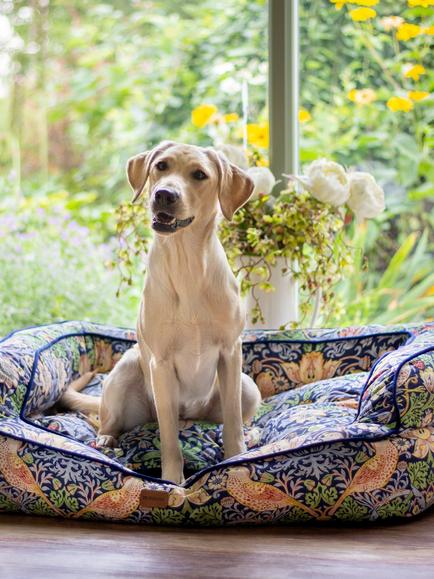 Morris & Co. Strawberry Thief Dog Bed, Multi, Multi