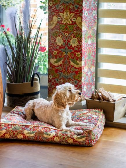 Morris & Co. Strawberry Thief Dog Mattress, Red, Red