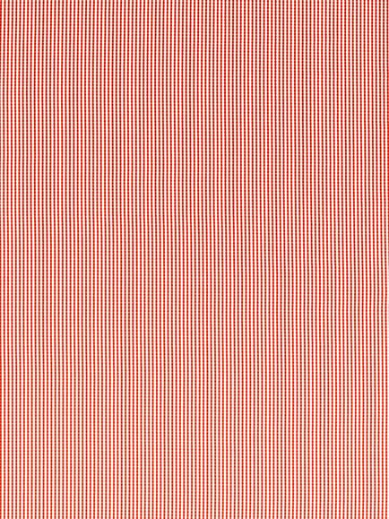 Clarke & Clarke Windsor Furnishing Fabric, Rouge