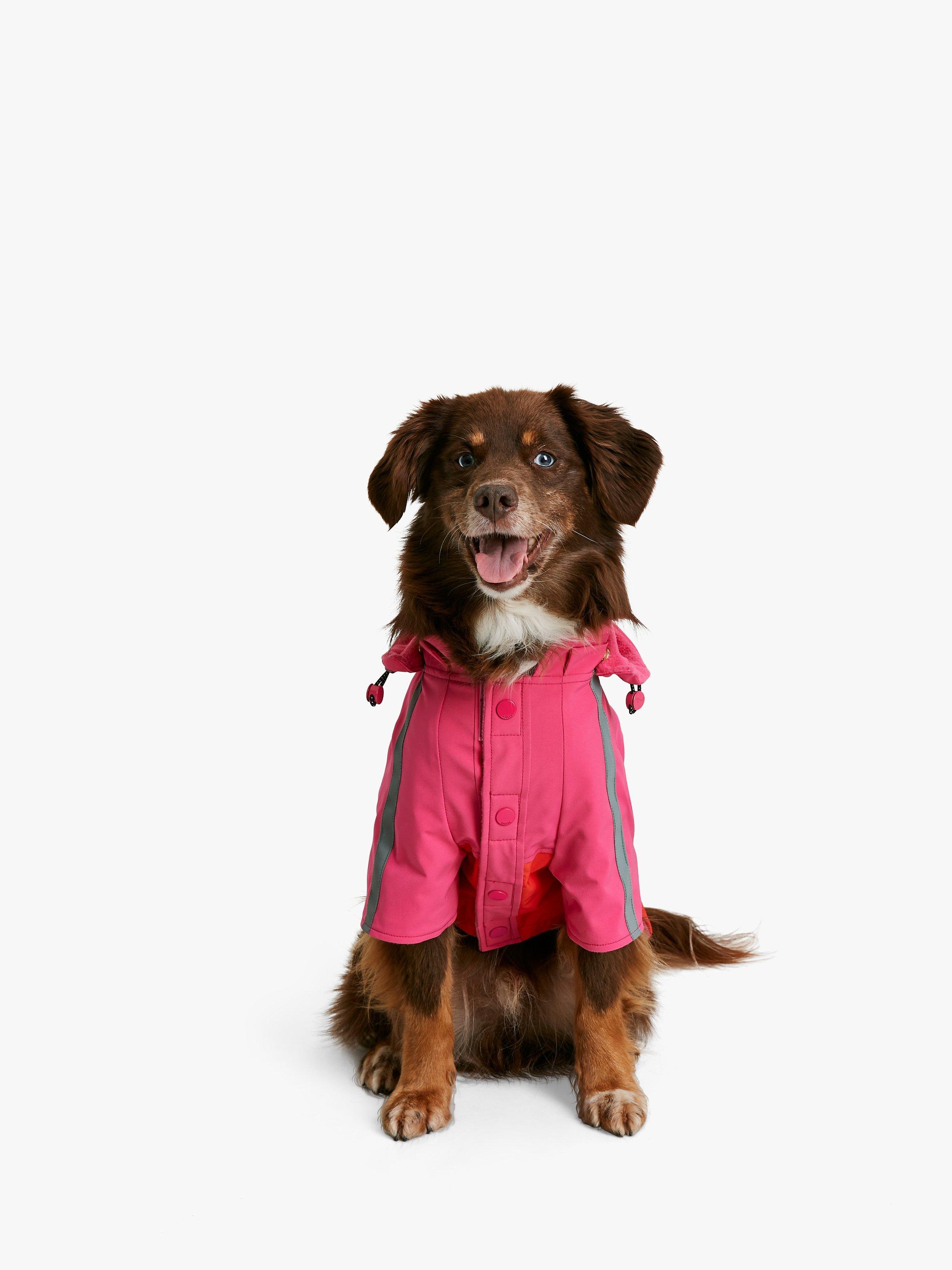 John lewis dog coats online