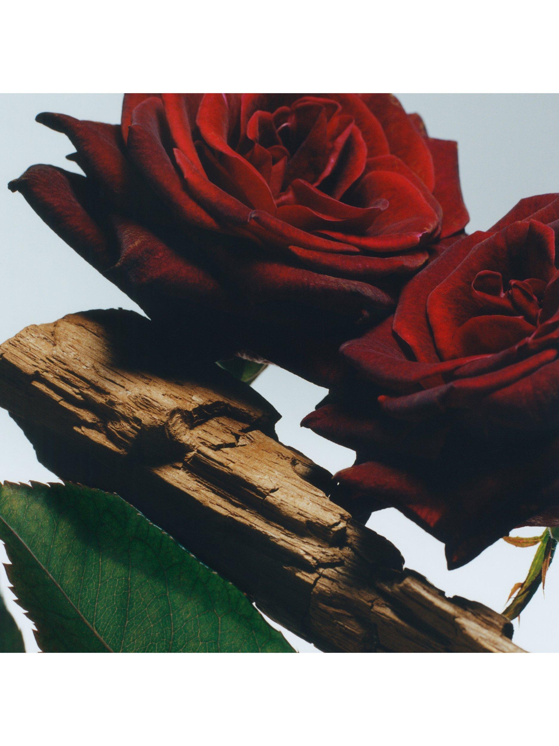 Product image 3 of 4, which shows Jo Malone London Velvet Rose & Oud Body Creme, 200ml
