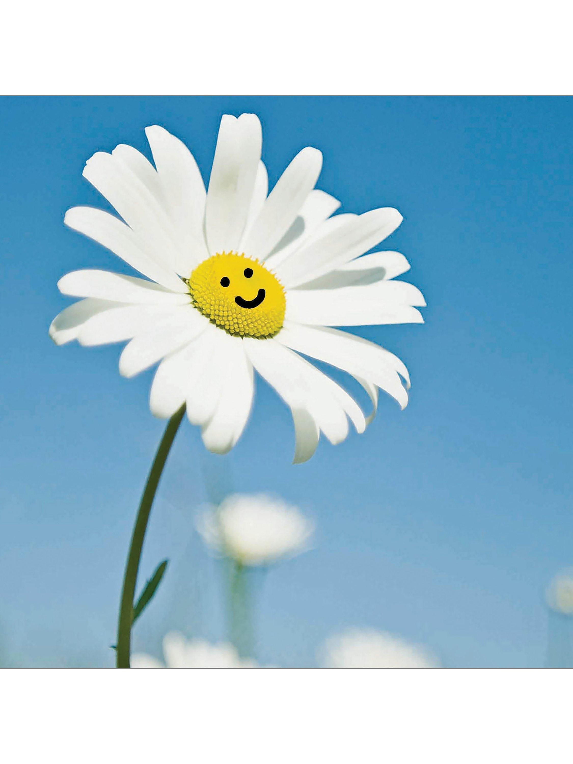 Cardmix Smiley Daisy Blank Greeting Card