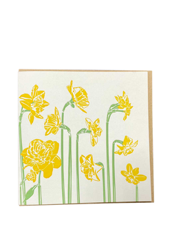 Penguin Ink Daffodils Blank Greeting Card, Multi