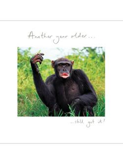 Woodmansterne Flaunt It Birthday Card, Multi