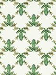 Harlequin Wood Frog Wallpaper
