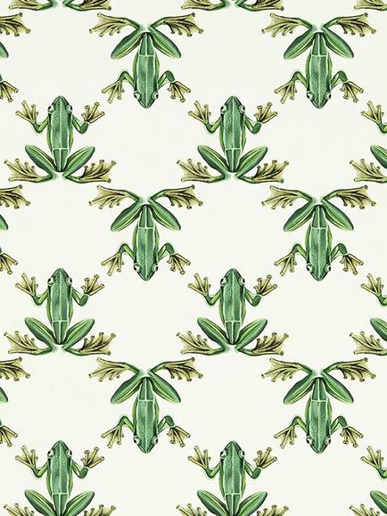 Harlequin Wood Frog Wallpaper, Hc4w113011