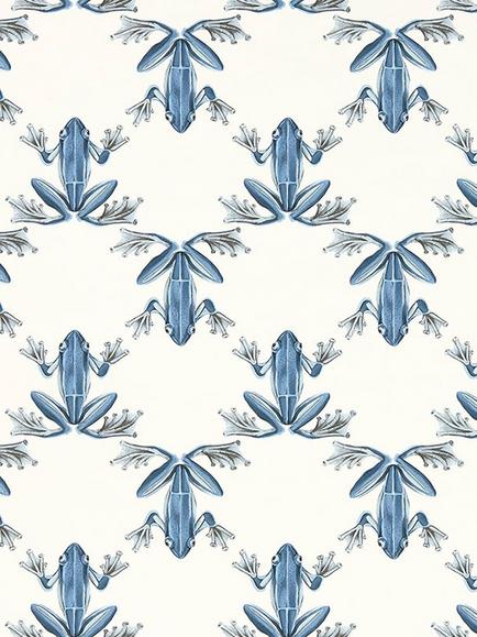 Harlequin Wood Frog Wallpaper, Hc4w113012