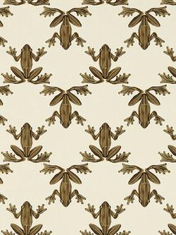 Harlequin Wood Frog Wallpaper, Hc4w113013