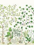 Sanderson Sycamore & Oak Wallpaper Panel