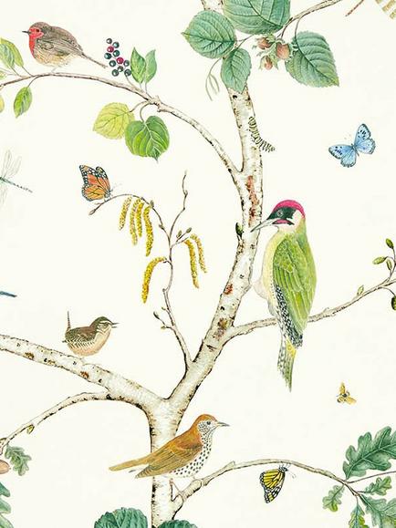 Sanderson Woodland Chorus Wallpaper, Dabw217230