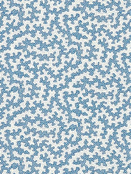 Sanderson Truffle Wallpaper, Dabw217239