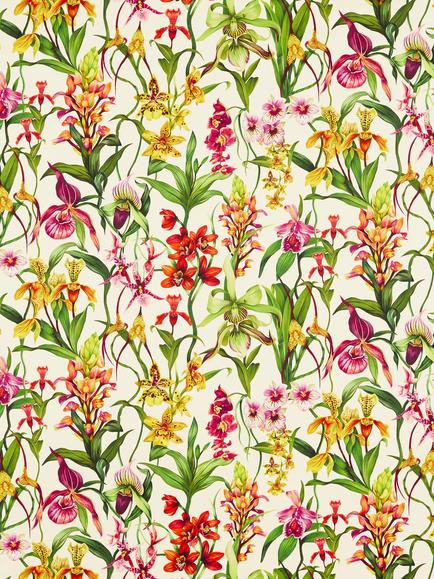 Harlequin Cadencia & Kalina Furnishing Fabric, Parchment/Forest/Azalea