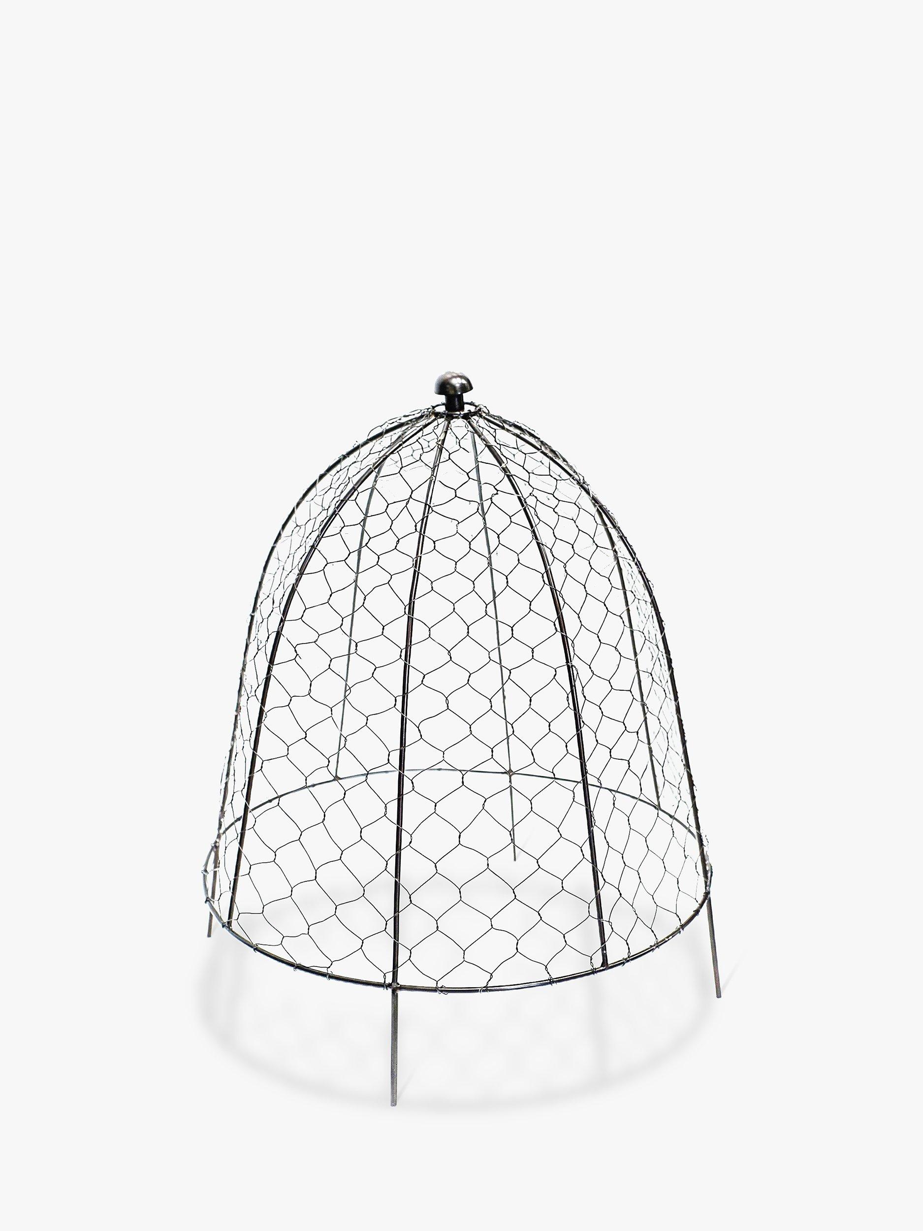 Ivyline Zinc Chicken Wire Netted Cloche Plant Protector, Silver